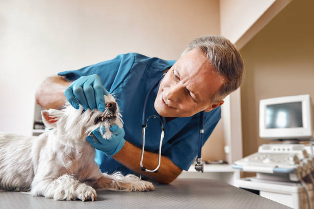 Best Emergency Tooth Extraction in Web, AL